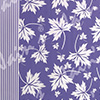 Dhoom Violet (011)